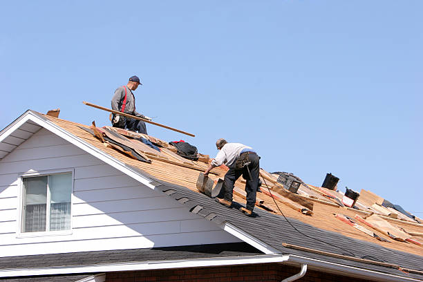 Best Sheet Metal Roofing  in Tton, IL